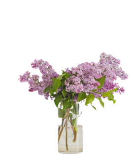 Caja Negra con 9 Rosas Azules