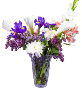 Caja con 3 rosas Multicolor Arcoiris 