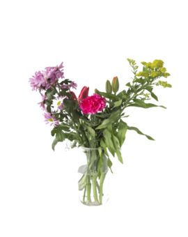 Caja con 12 Rosas Multicolor Arcoiris 