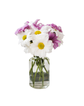 Caja con 12 Rosas Multicolor Arcoiris 