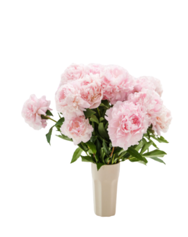 Caja con 3 rosas Multicolor Arcoiris 