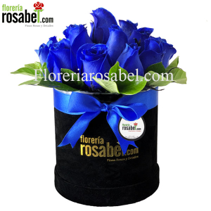 Box de 12 Rosas Azules