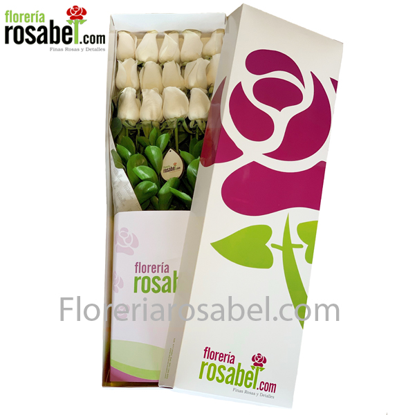 Caja de 12 Rosas Blancas
