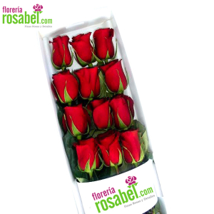 Caja de 12 Rosas Rojas