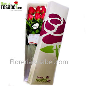Caja de 6 rosas rojas