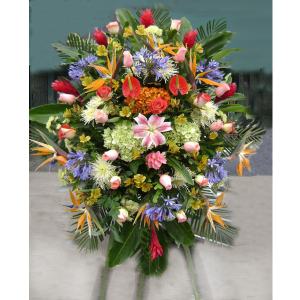 Flores de Inauguración IG 03