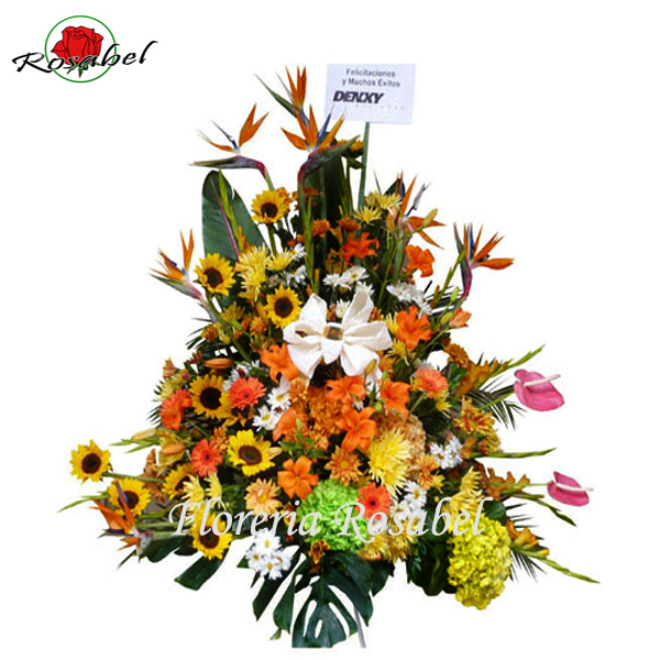 Flores para Inauguración Aniversario B5