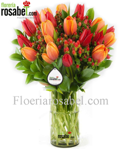 Jarrón con 18 tulipanes 