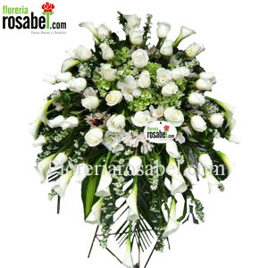 Lagrima Especial de Rosas 04