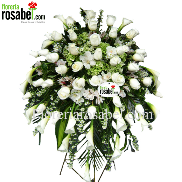 Lagrima Especial de Rosas 04